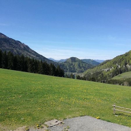 Villa Bio Bauernhof Moas Lunz am See Esterno foto