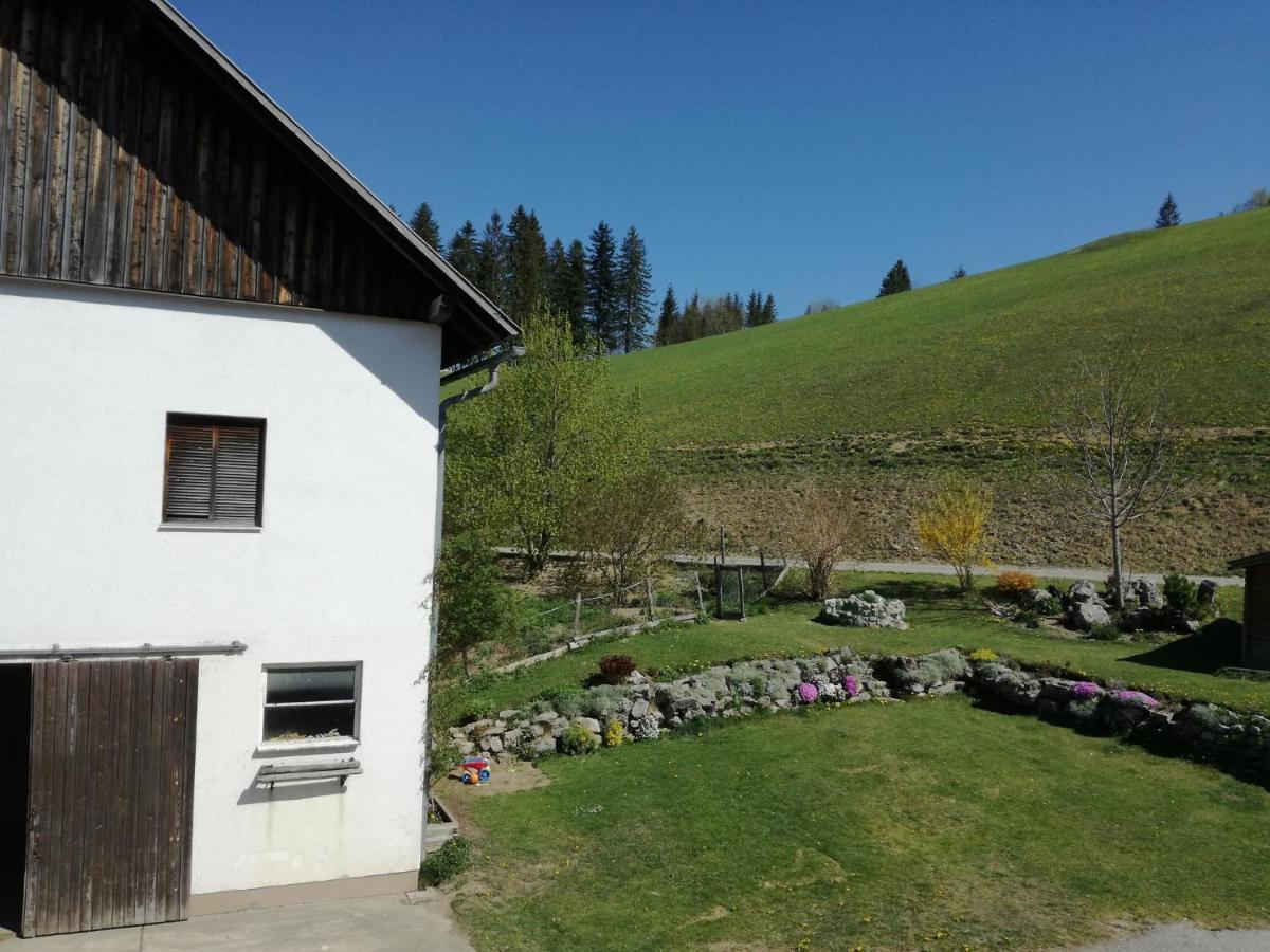 Villa Bio Bauernhof Moas Lunz am See Esterno foto