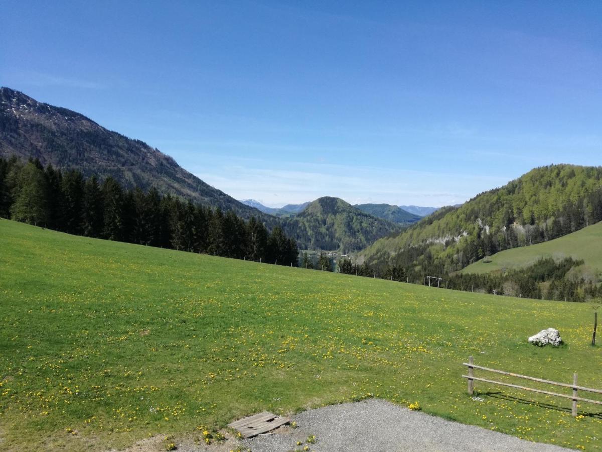 Villa Bio Bauernhof Moas Lunz am See Esterno foto